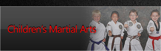 Bergen County childrens Martial Arts